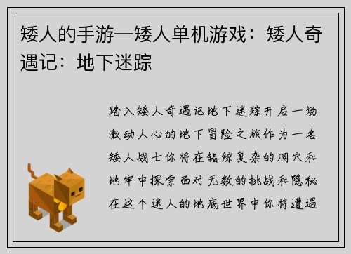 矮人的手游—矮人单机游戏：矮人奇遇记：地下迷踪