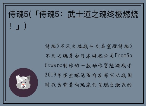 侍魂5(「侍魂5：武士道之魂终极燃烧！」)